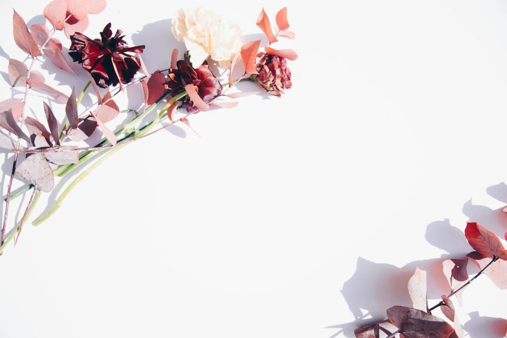Minimalist flat lay of red and pink flowers on a white backdrop, perfect for romantic or wedding themes.