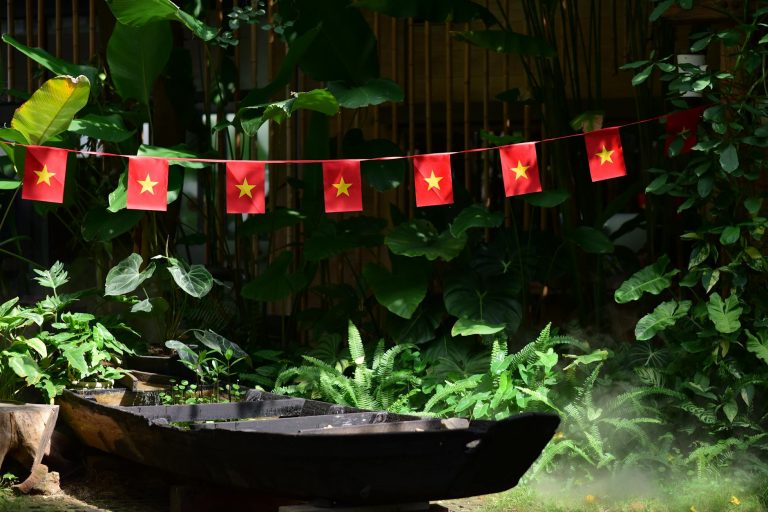 A vibrant display of Vietnam flags in a lush tropical setting, highlighting national pride and natural beauty.