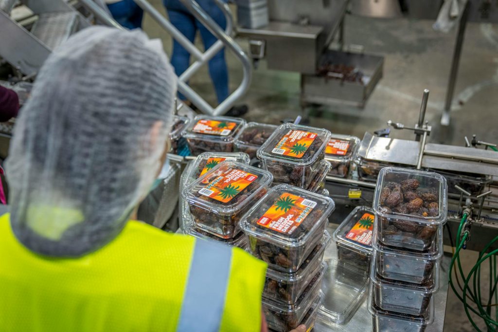 Worker managing date packaging in a modern industrial facility, ensuring quality control.